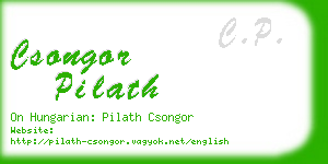 csongor pilath business card